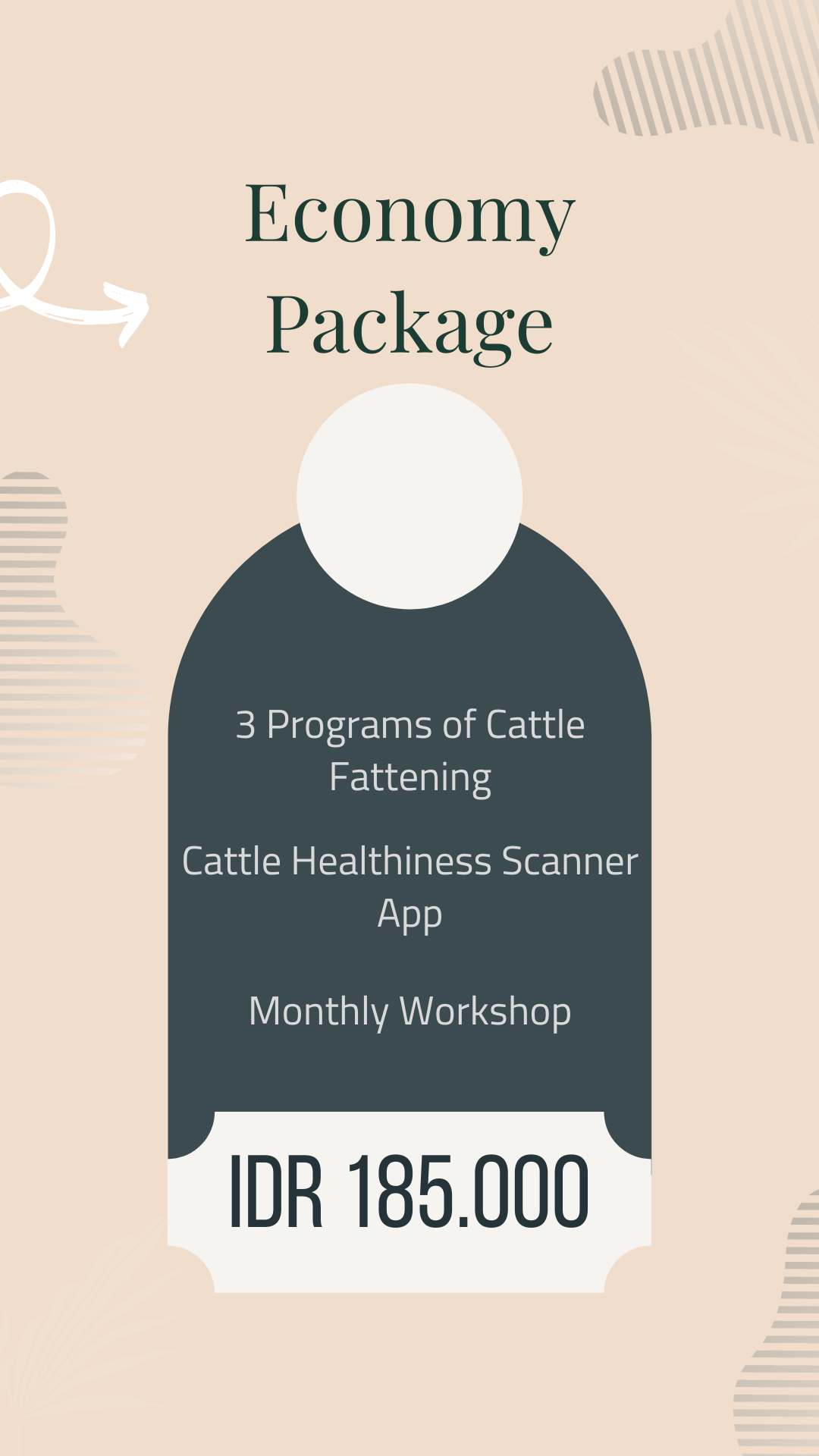 economy-package